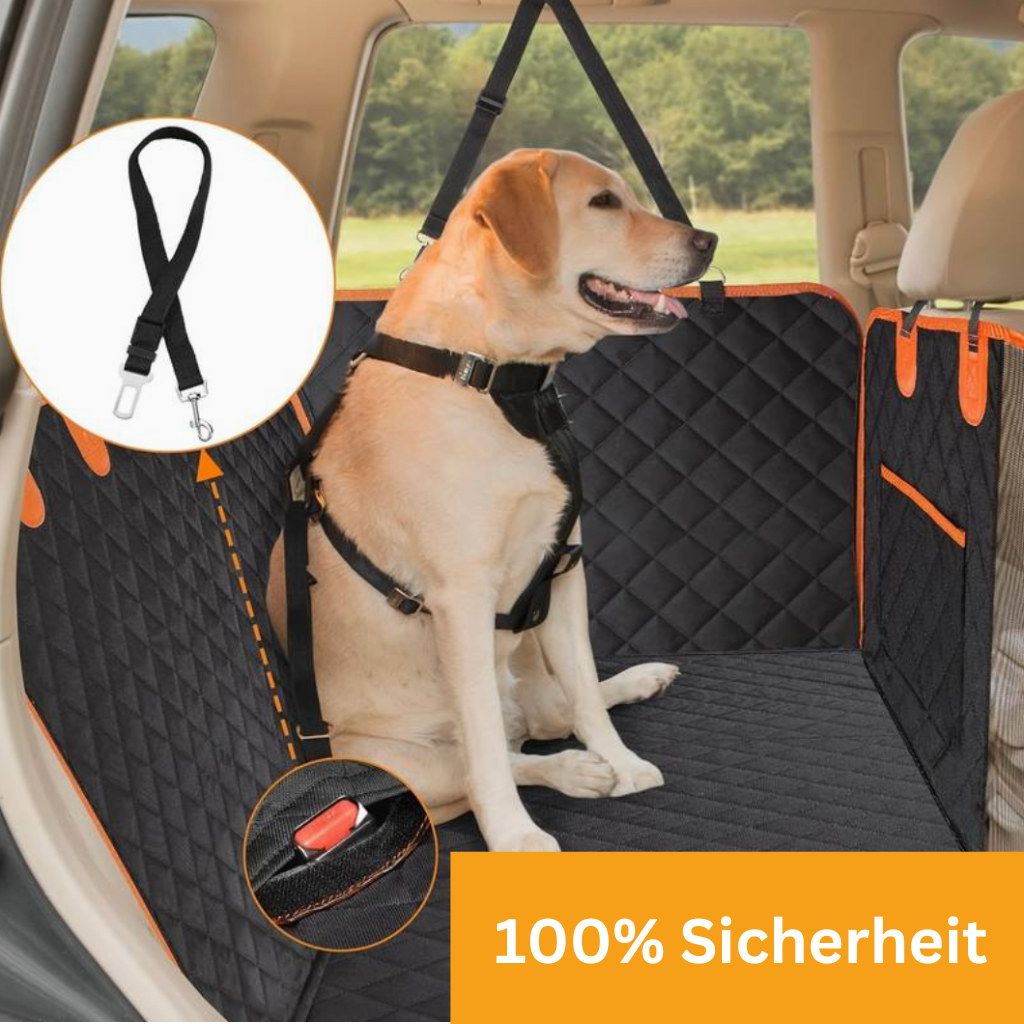 Stabiler Rücksitzschutz