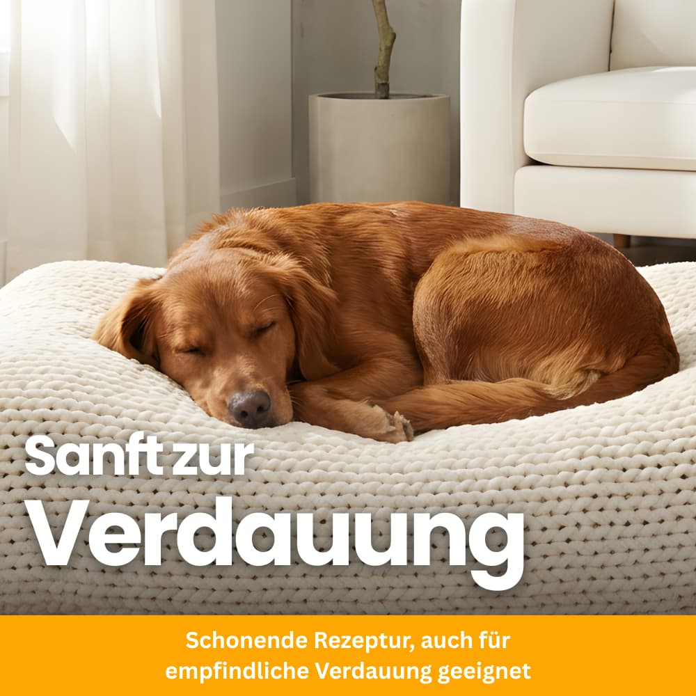 Probiotische Soft Chews für Hunde – Darm & Verdauung