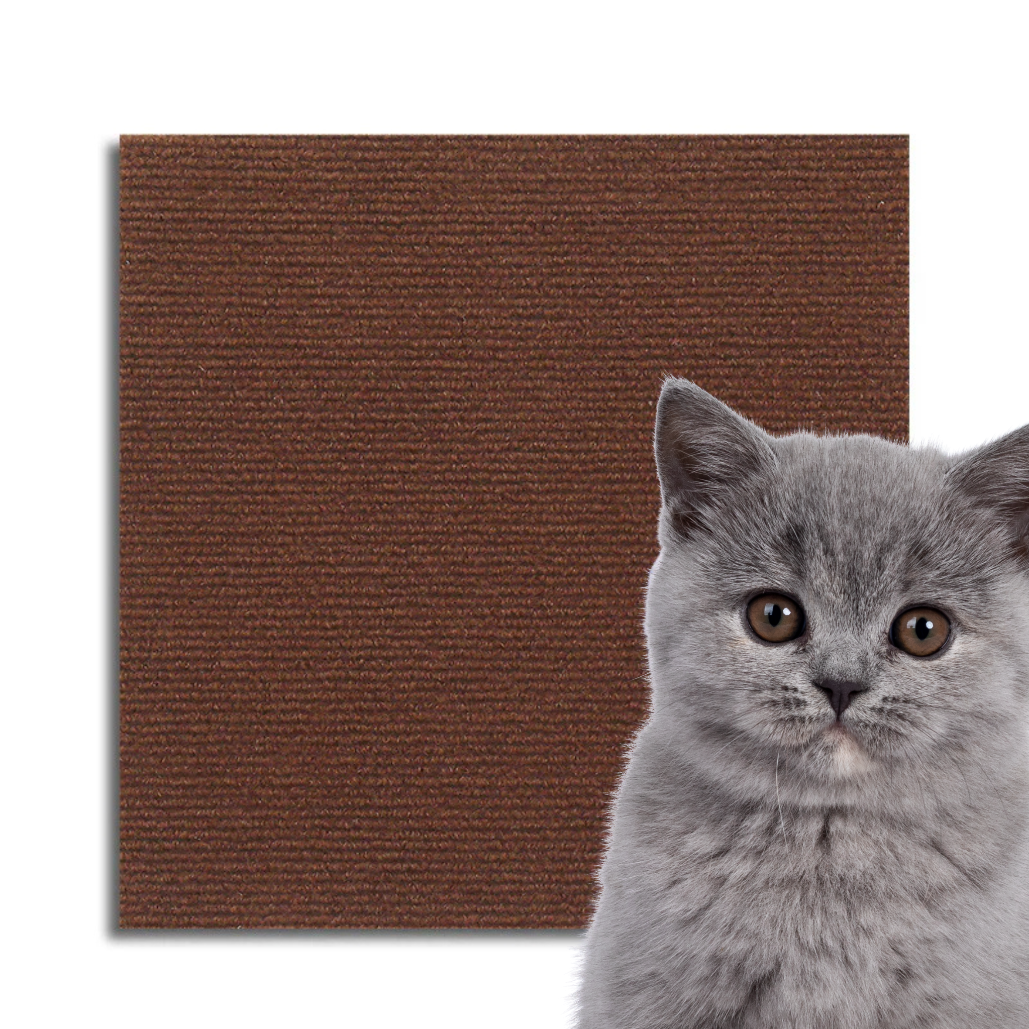 Universeller Katzen Kratzschutz
