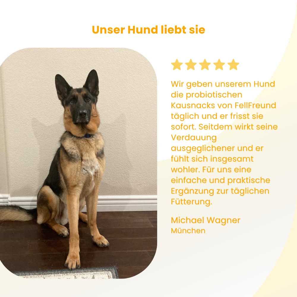 Probiotische Kausnacks für Hunde – Darm & Immunsystem
