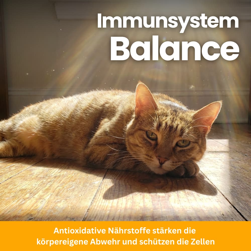 Katzen-Nährstoffpulver für Fell & Haut