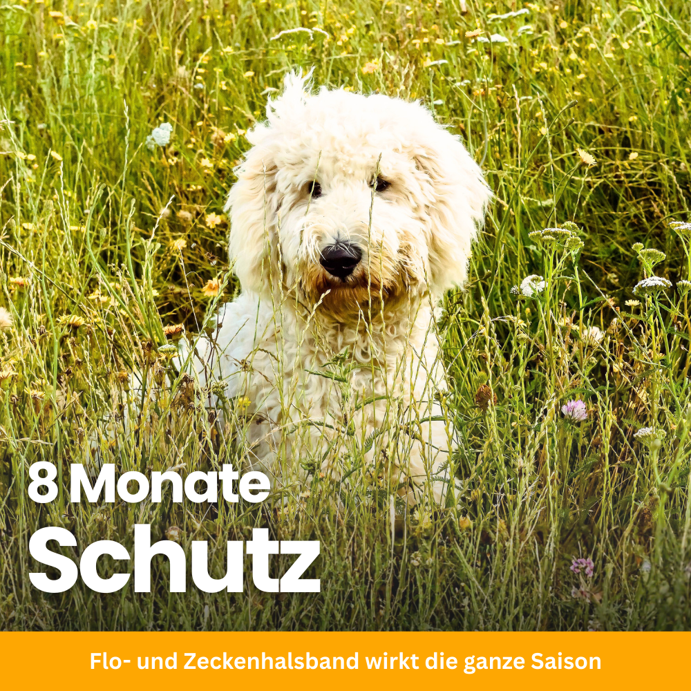 FellFreund Floh- & Zeckenschutz Duo