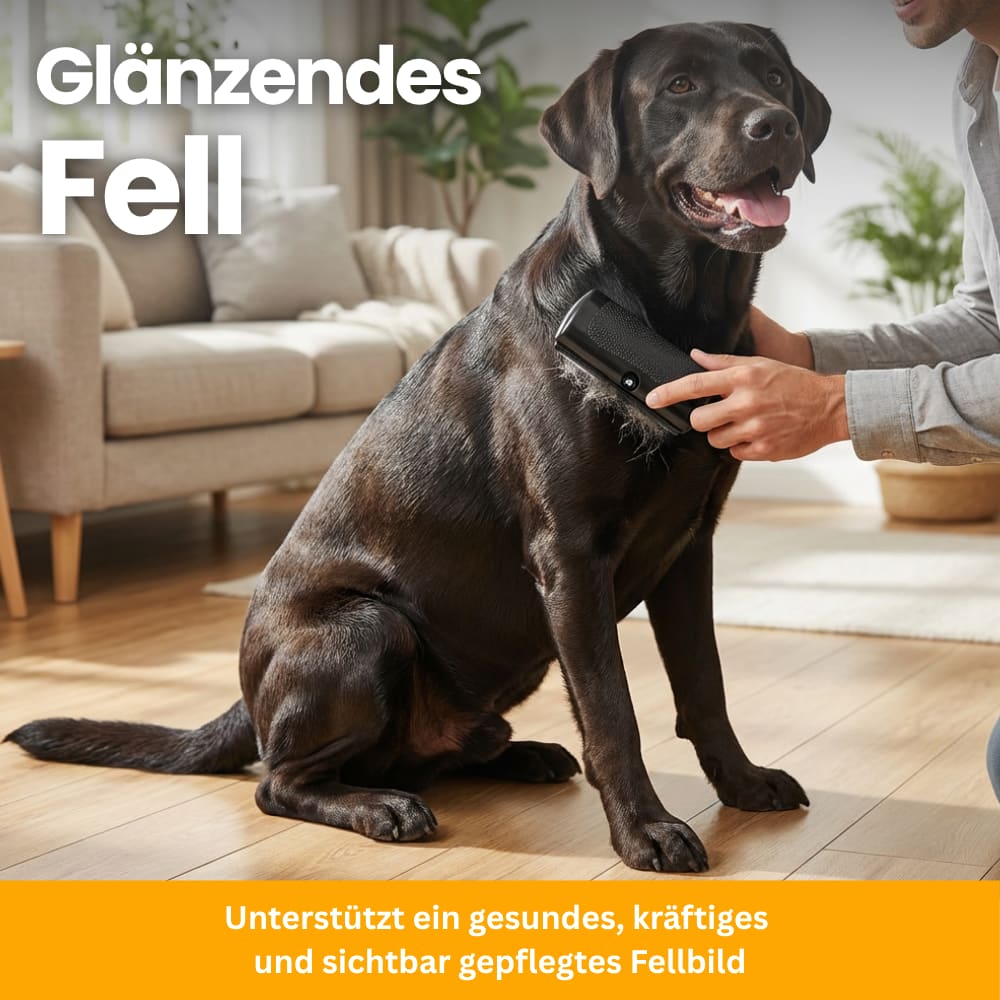 Premium Fellpflegebürste für Hunde