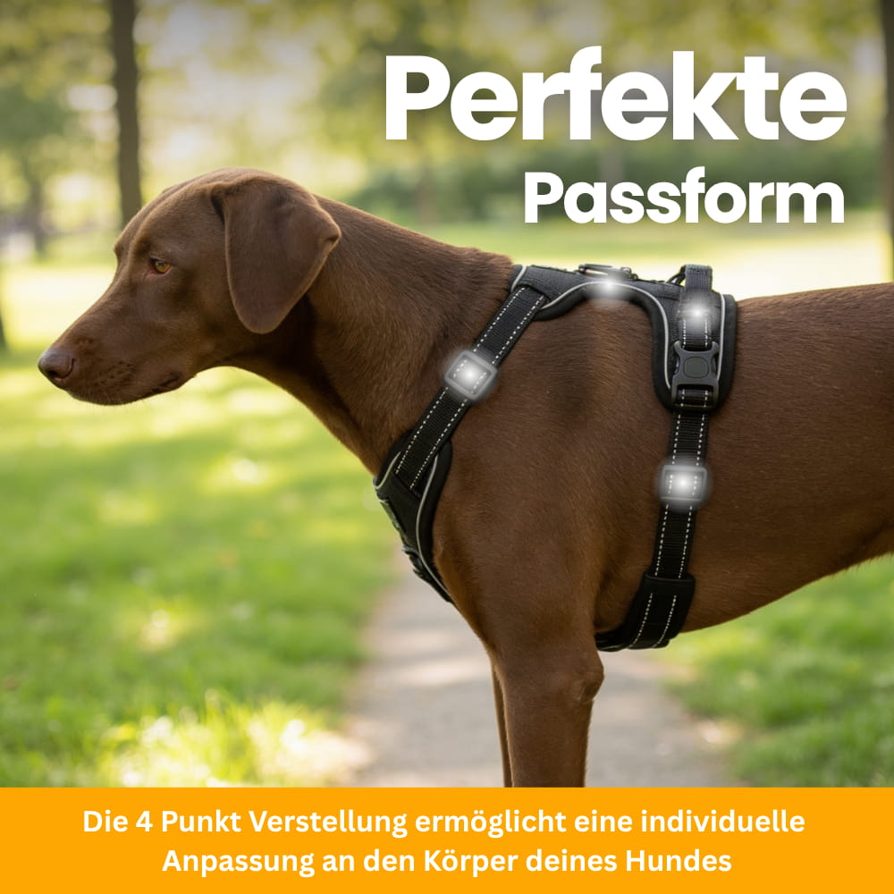 Gepolstertes Anti-Zug Hundegeschirr