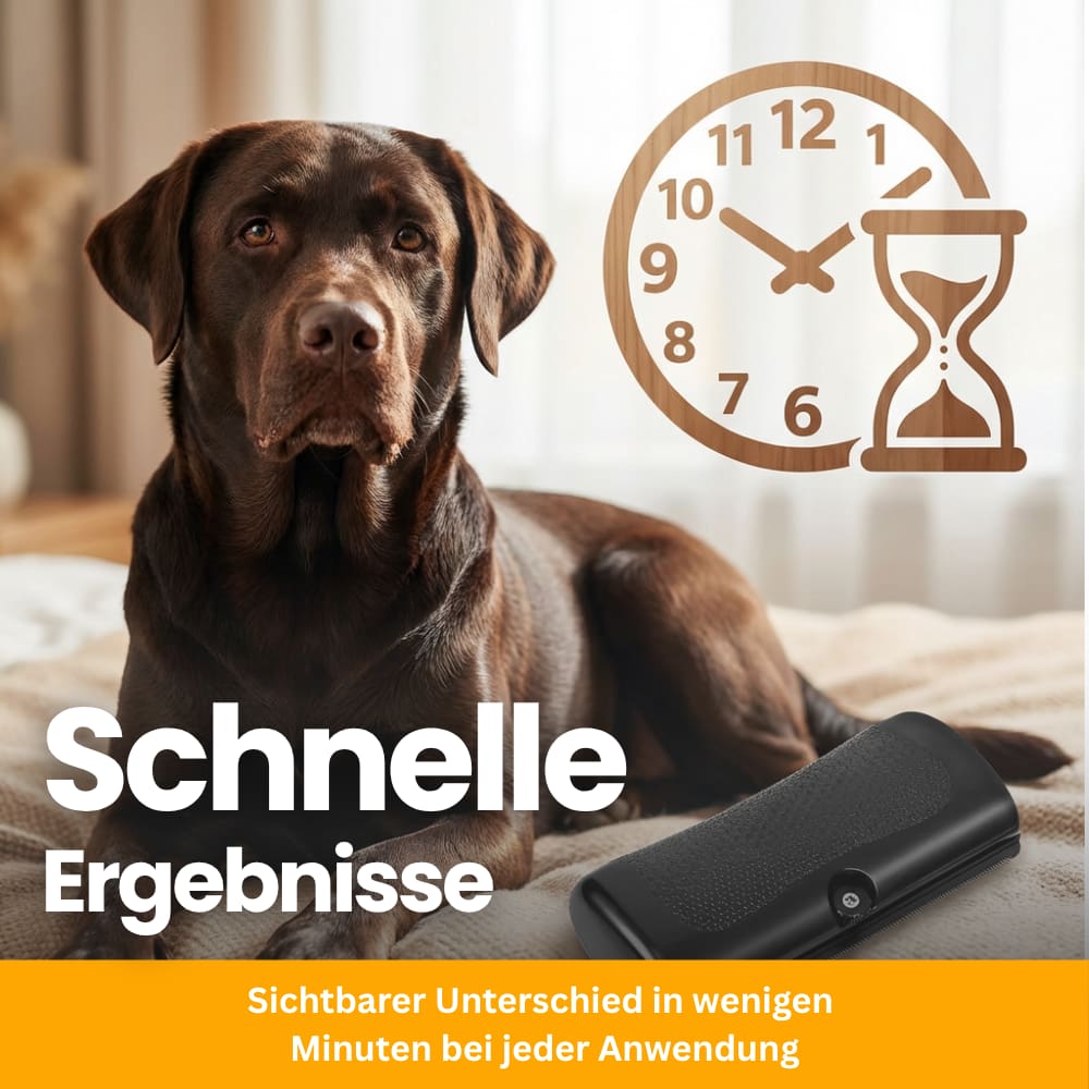Premium Fellpflegebürste für Hunde
