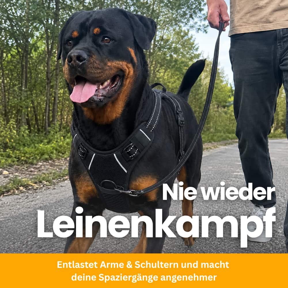 ZugFrei – Gepolstertes Anti-Zug Hundegeschirr