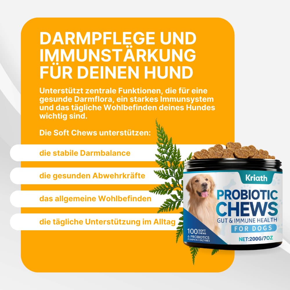Hunde-Probiotika für Darm & Immunsystem