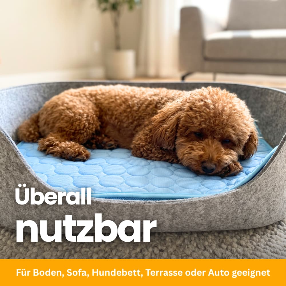 Premium Kühlmatte für Hunde