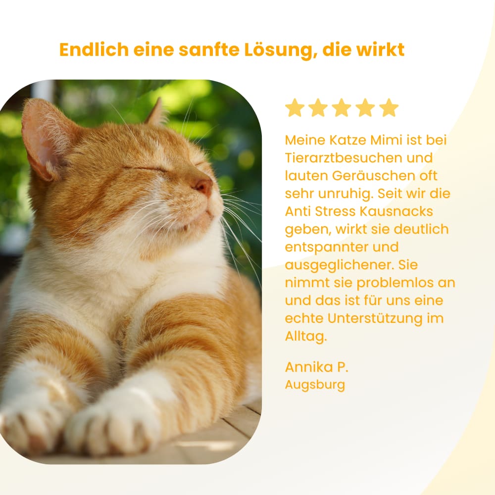 Anti-Stress Kausnacks für Katzen