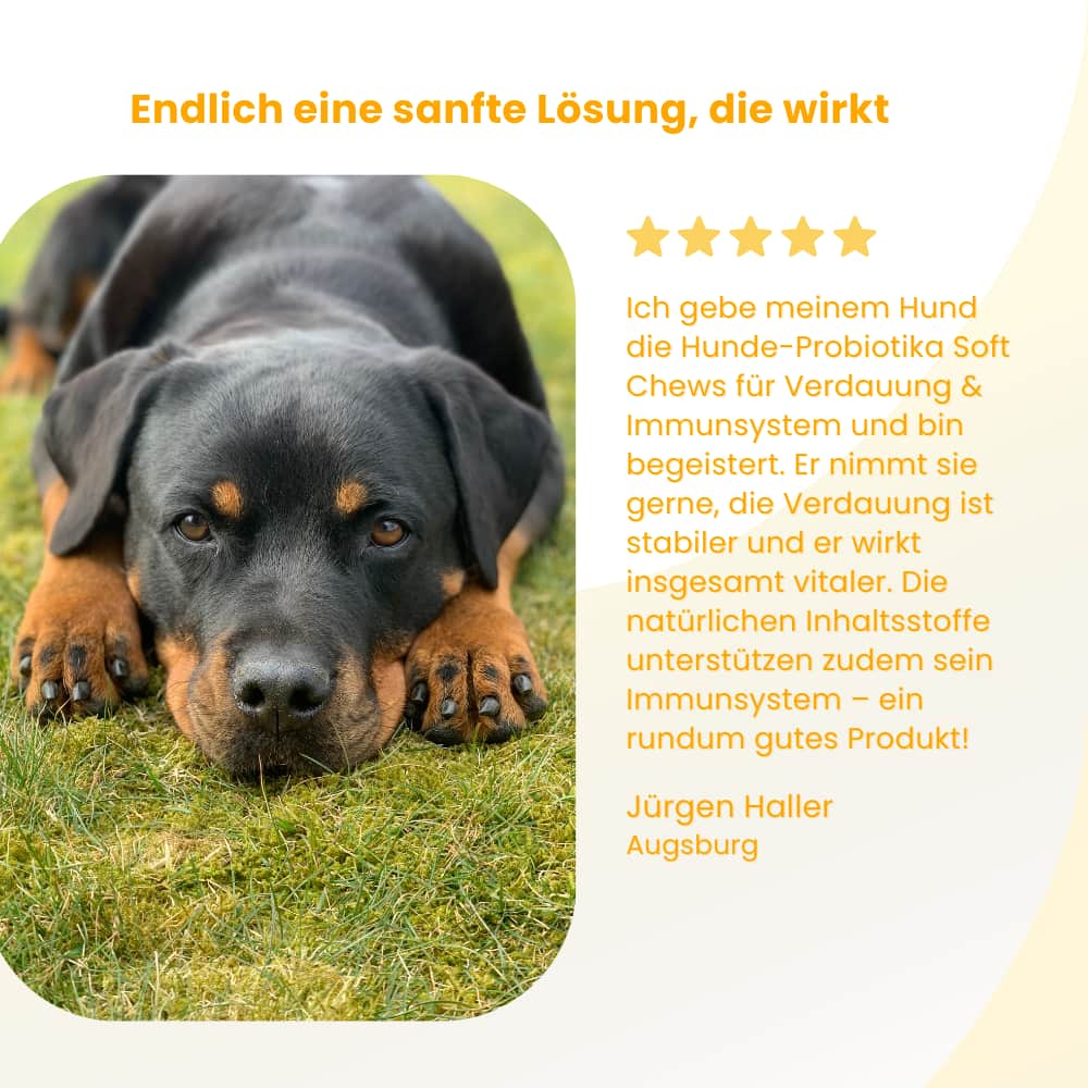 Hunde-Probiotika Soft Chews für Verdauung & Immunsystem
