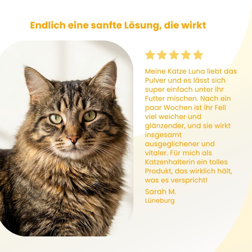 Katzen-Nährstoffpulver für Fell & Haut