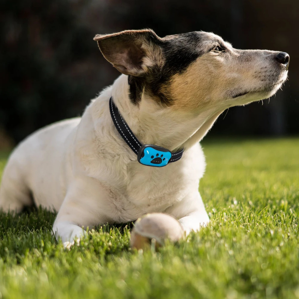 Tierfreundliches Anti-Bell Halsband