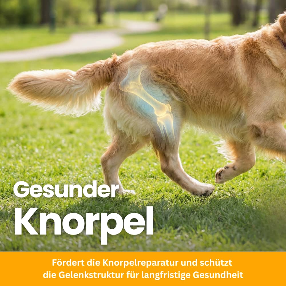 Hüfte & Gelenke Soft Chews für Hunde