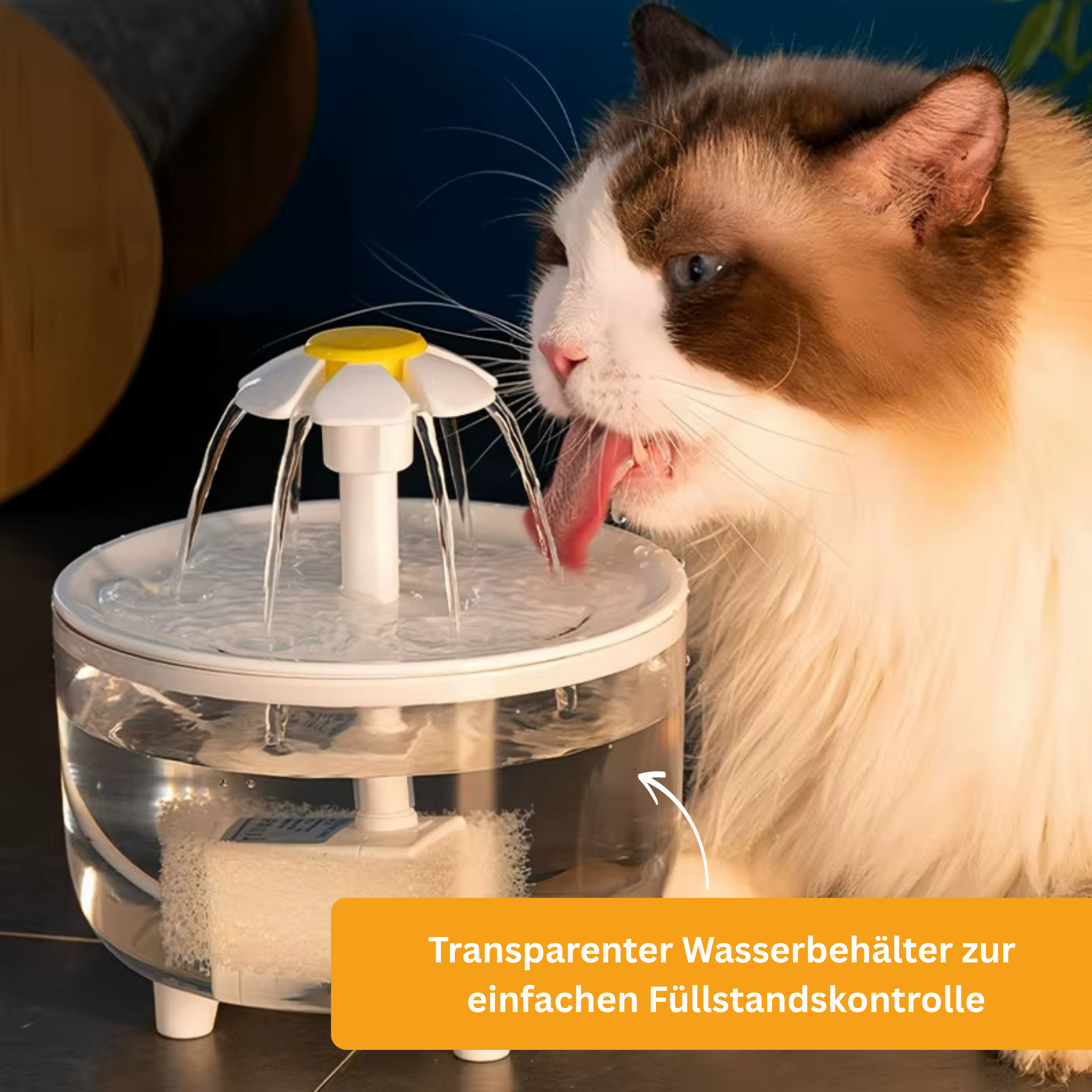 CatFountain - Der Katzenbrunnen