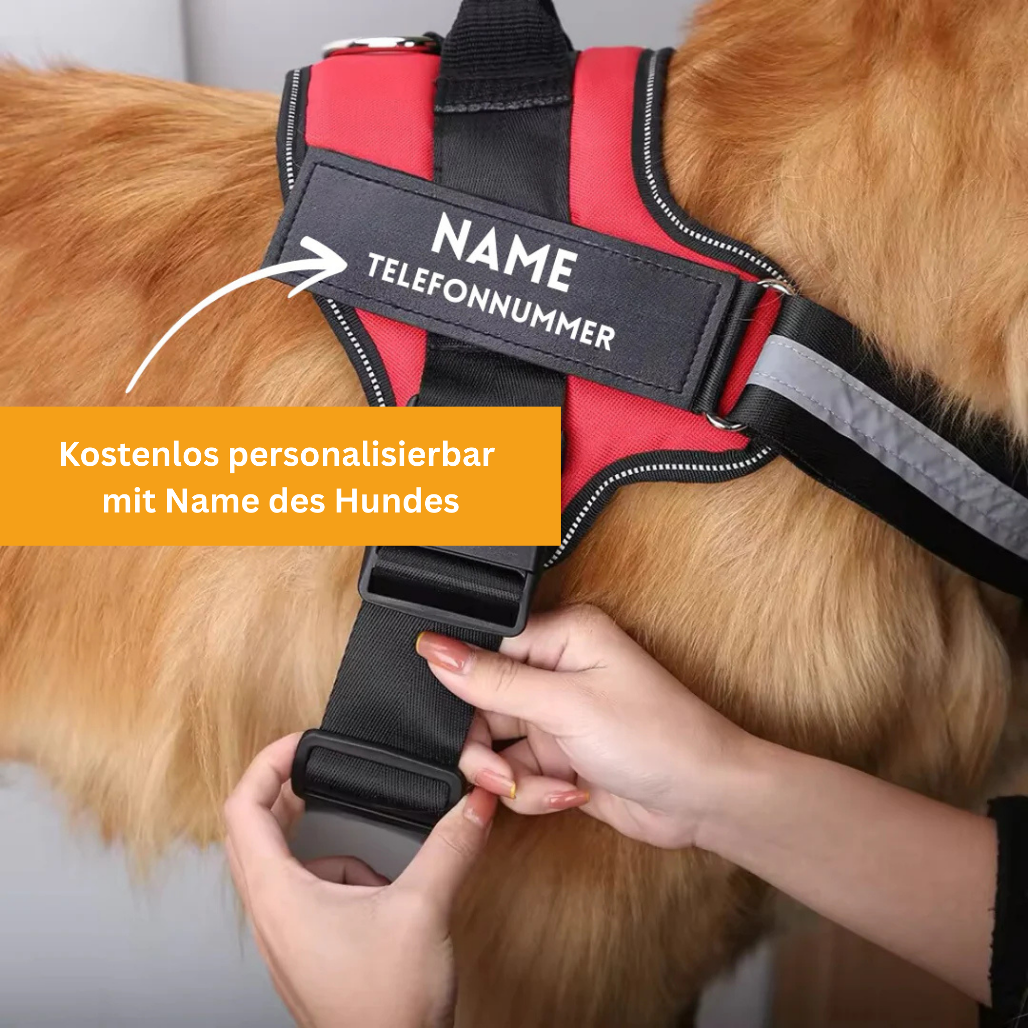 Personaliertes Anti-Zug Hundegeschirr