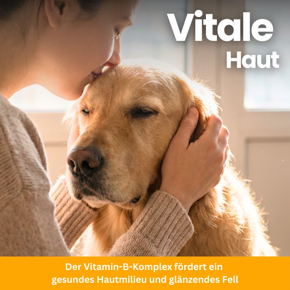 Floh- & Zeckenschutz Kautabletten