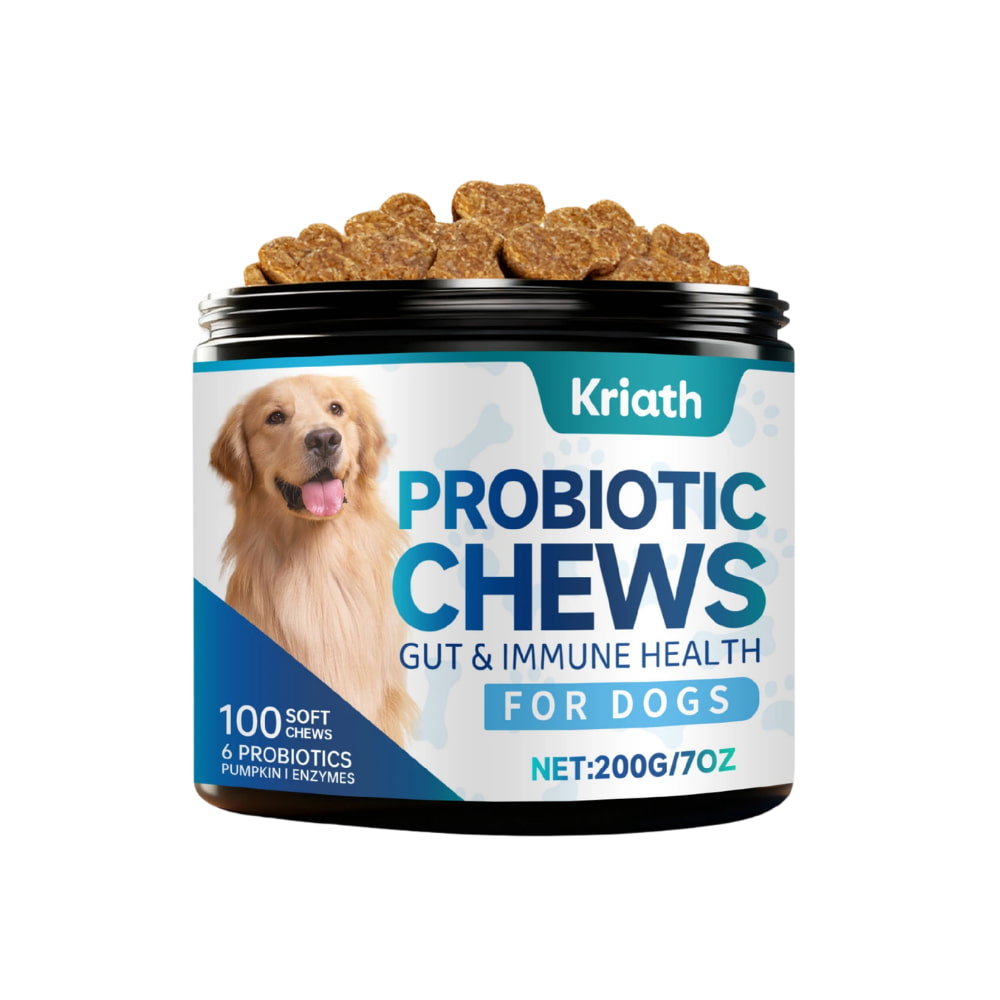 Hunde-Probiotika für Darm & Immunsystem