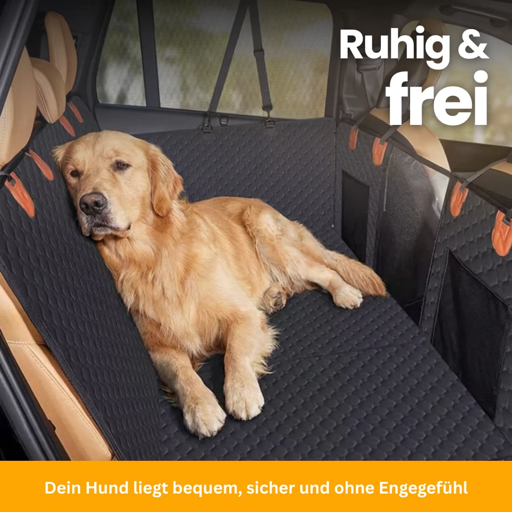 Stabiler Rücksitzschutz