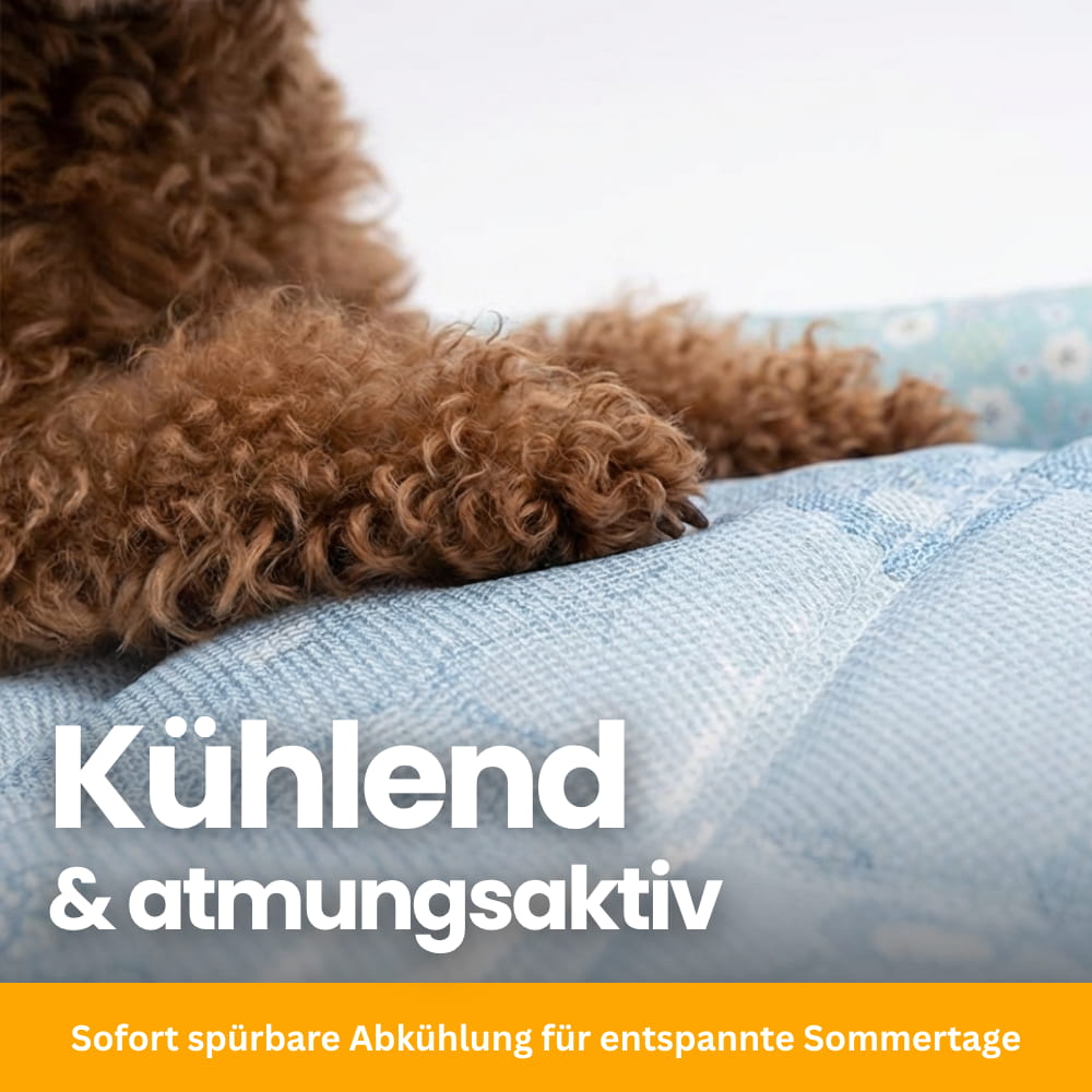 CoolBed – Hundekühlbett