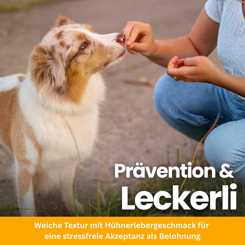 Floh- & Zeckenschutz Kautabletten