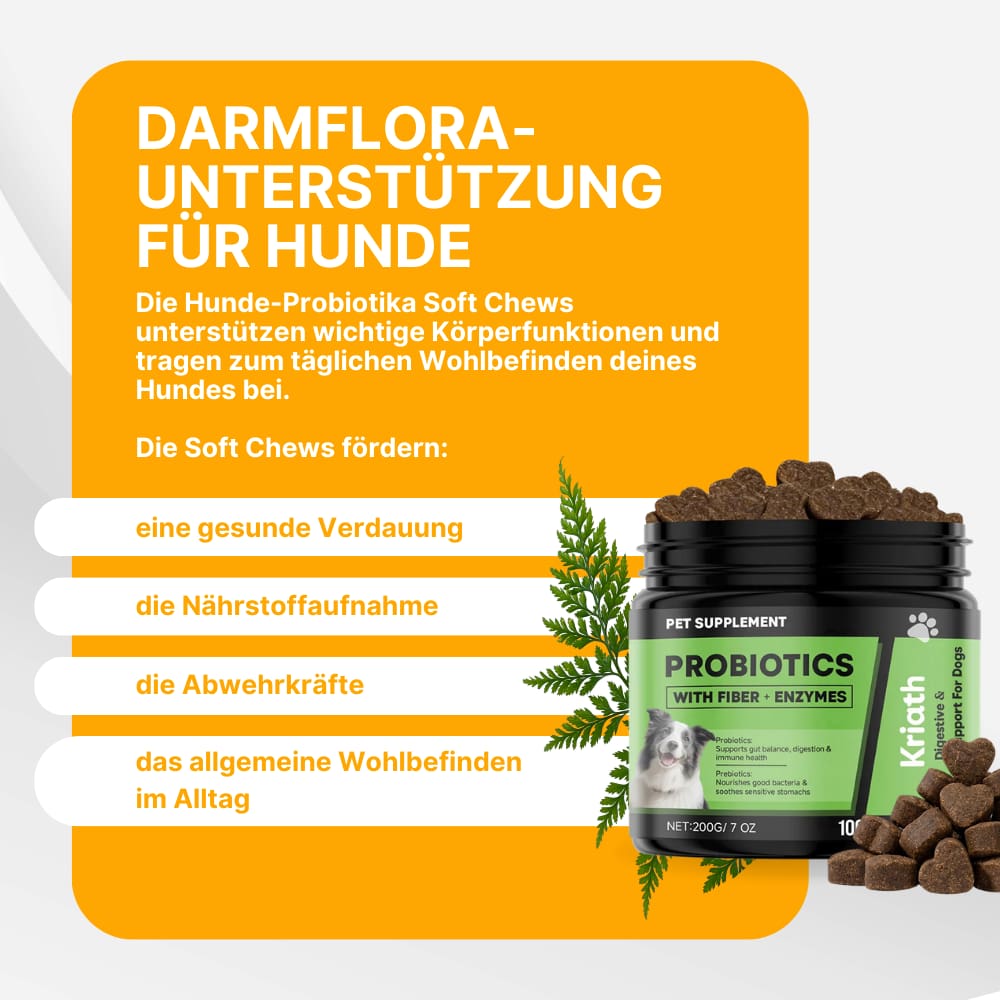 Hunde-Probiotika Soft Chews für Verdauung & Immunsystem