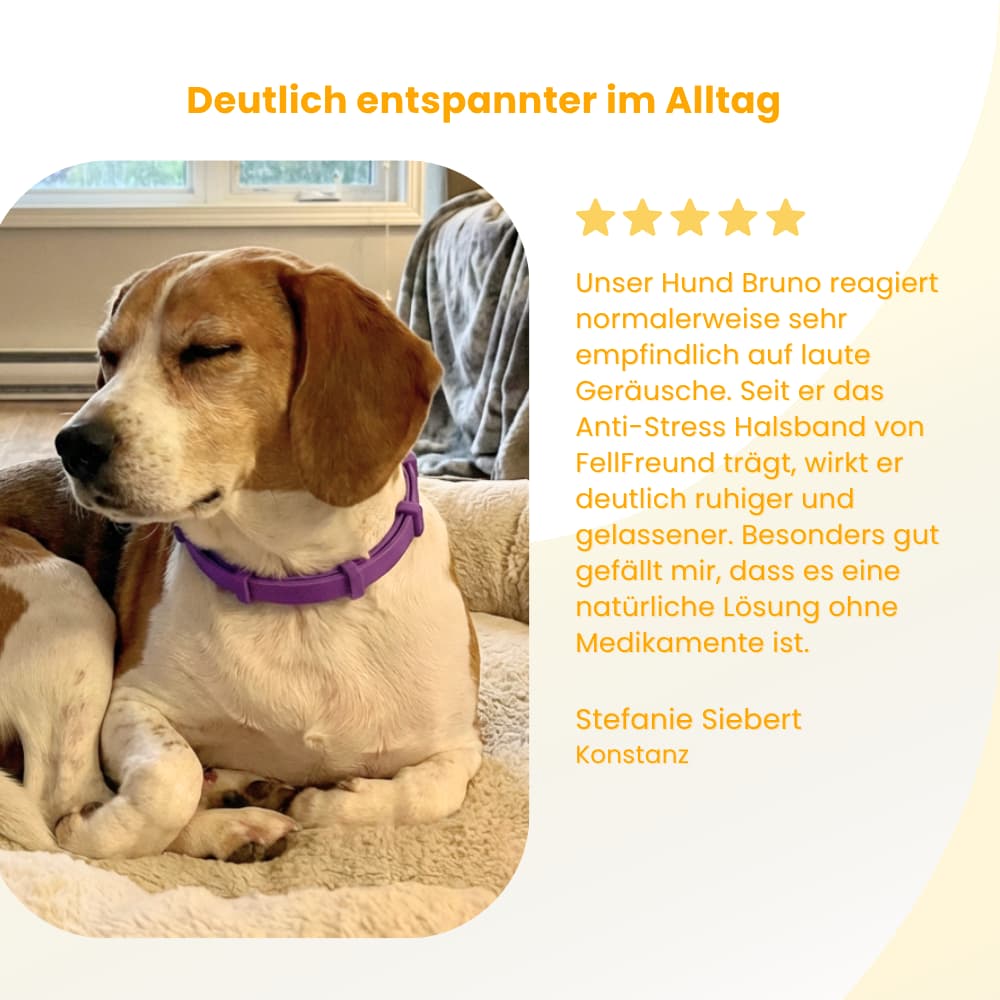 Tierfreundliches Anti-Stress Halsband für Hunde