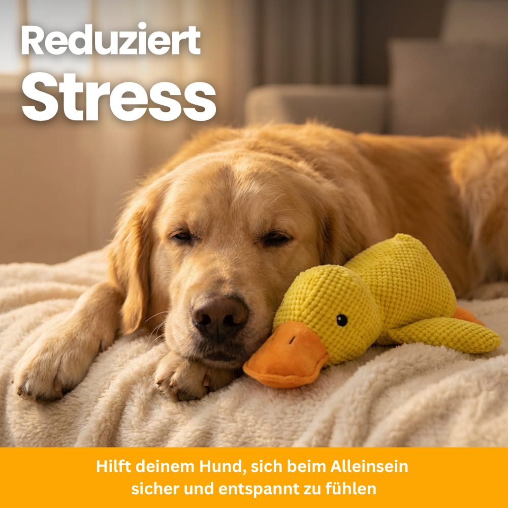 Anti-Stress-Ente für Hunde