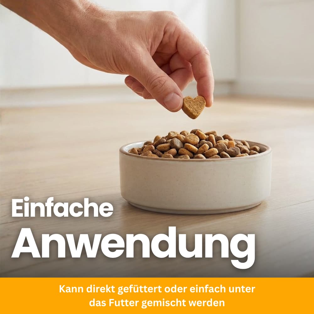 Probiotische Soft Chews für Hunde – Darm & Verdauung