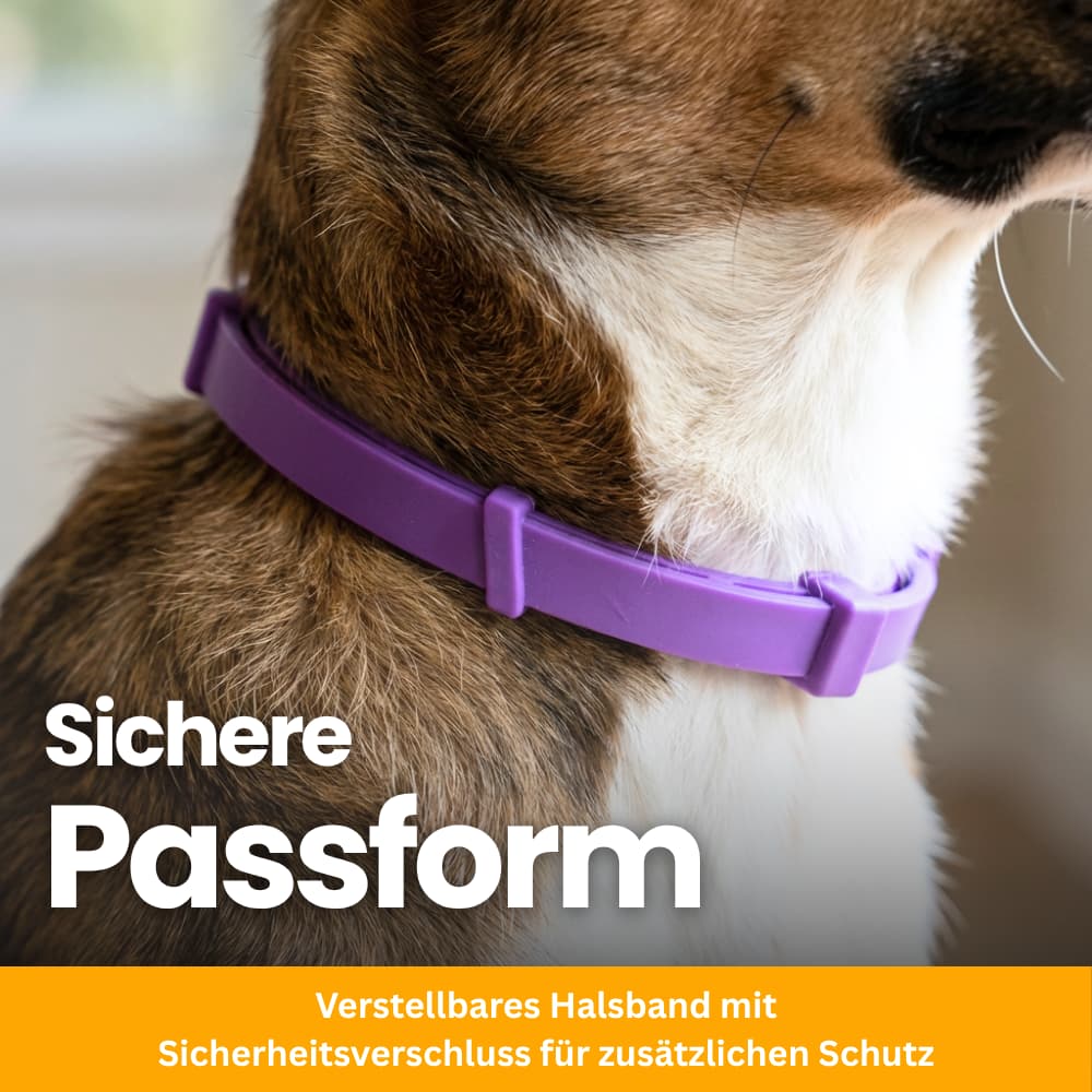 Tierfreundliches Anti-Stress Halsband für Hunde