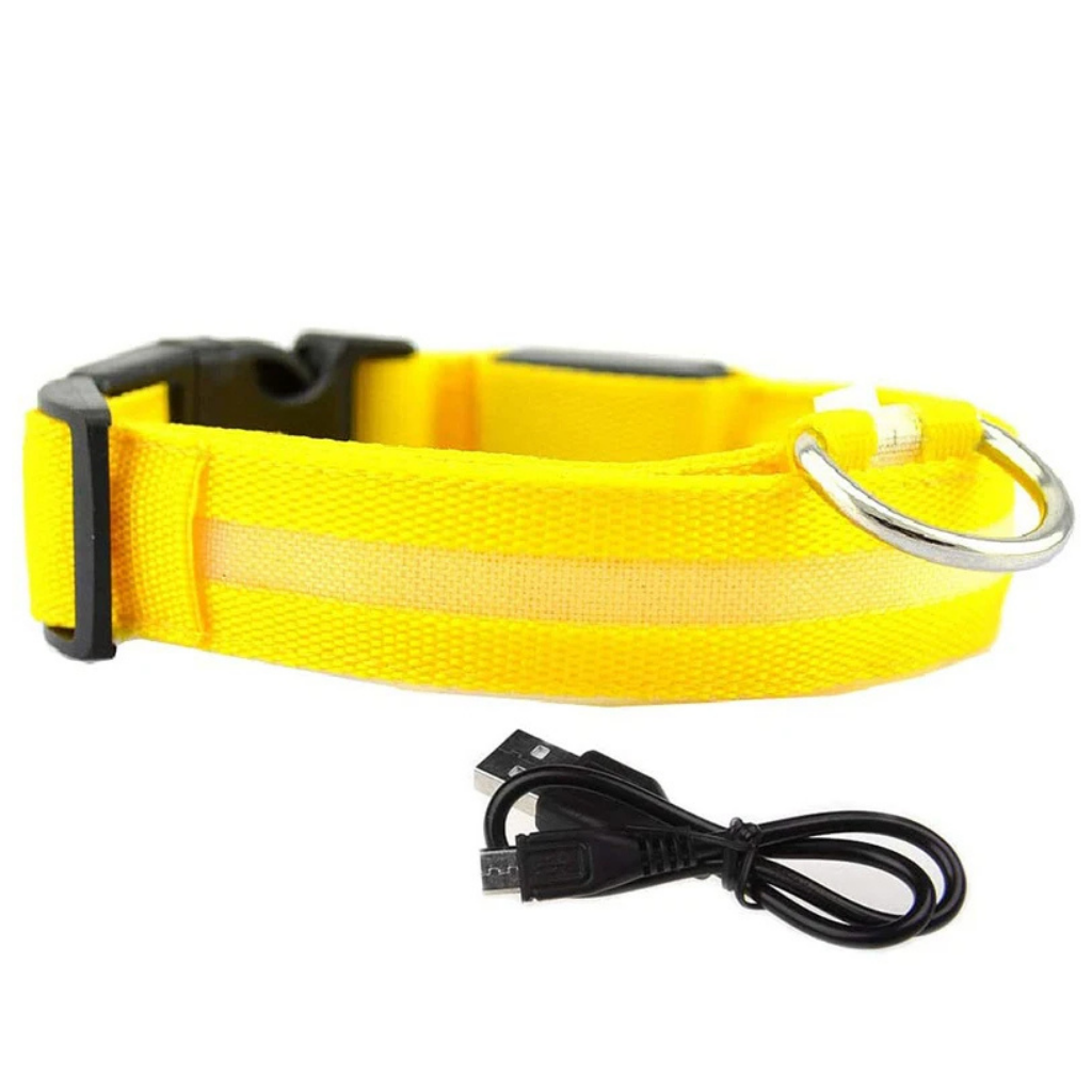 LED Leuchthalsband