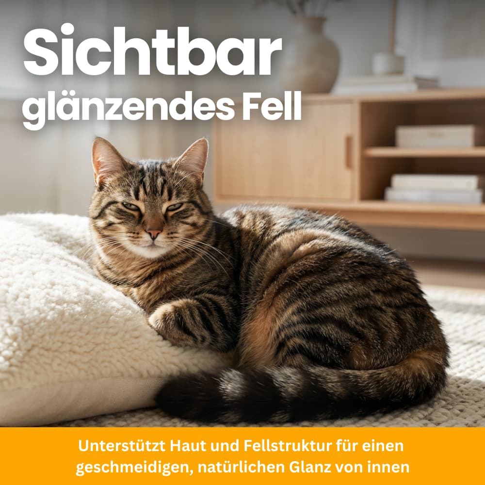 Katzen-Nährstoffpulver für Fell & Haut
