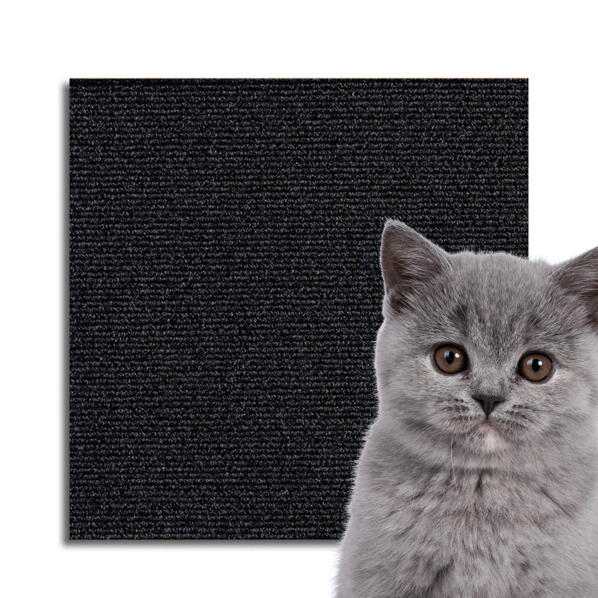 Universeller Katzen Kratzschutz