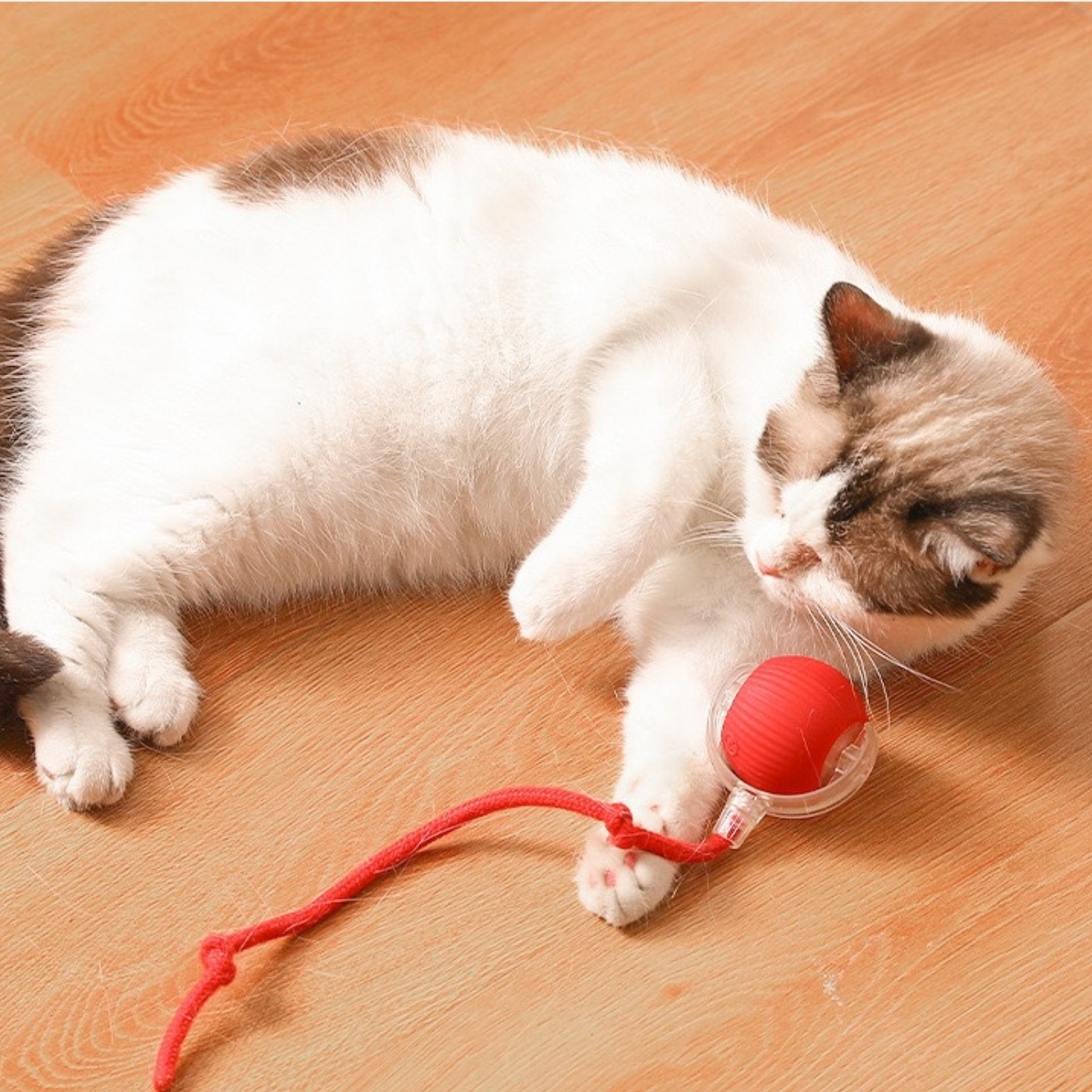 Interaktiver Spielball mit Schwanz für Katzen