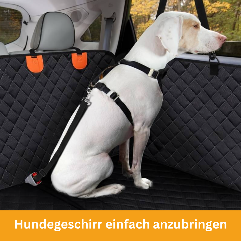 Stabiler Rücksitzschutz