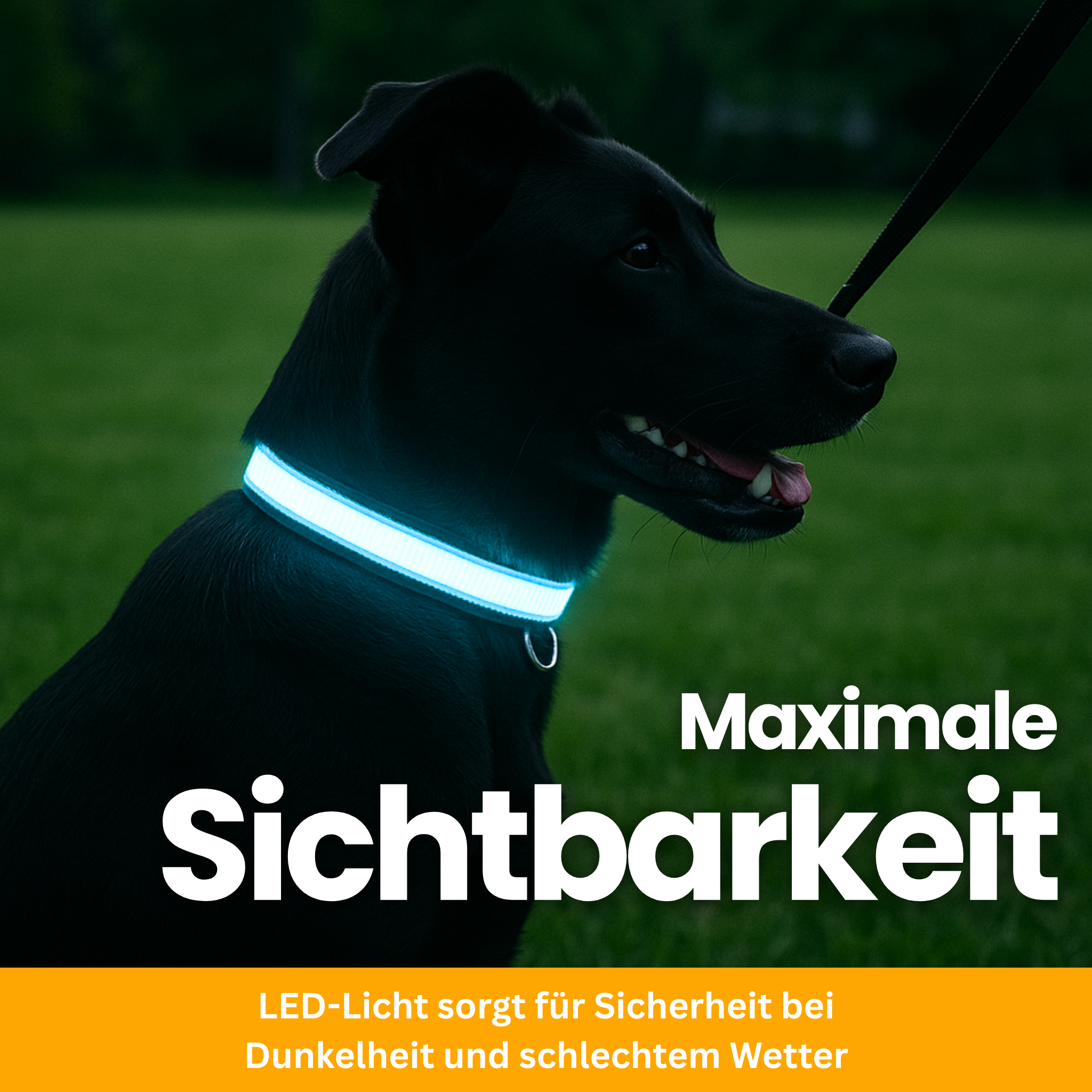 LED-Leuchthalsband Pro