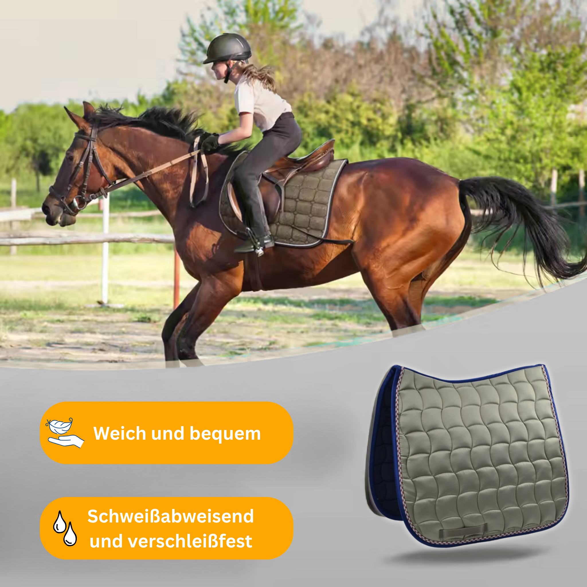 NoblePad – Hochwertige Dressurschabracke für Pferde
