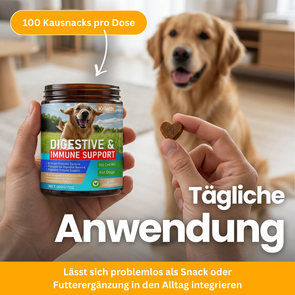 Probiotische Kausnacks für Hunde – Darm & Immunsystem