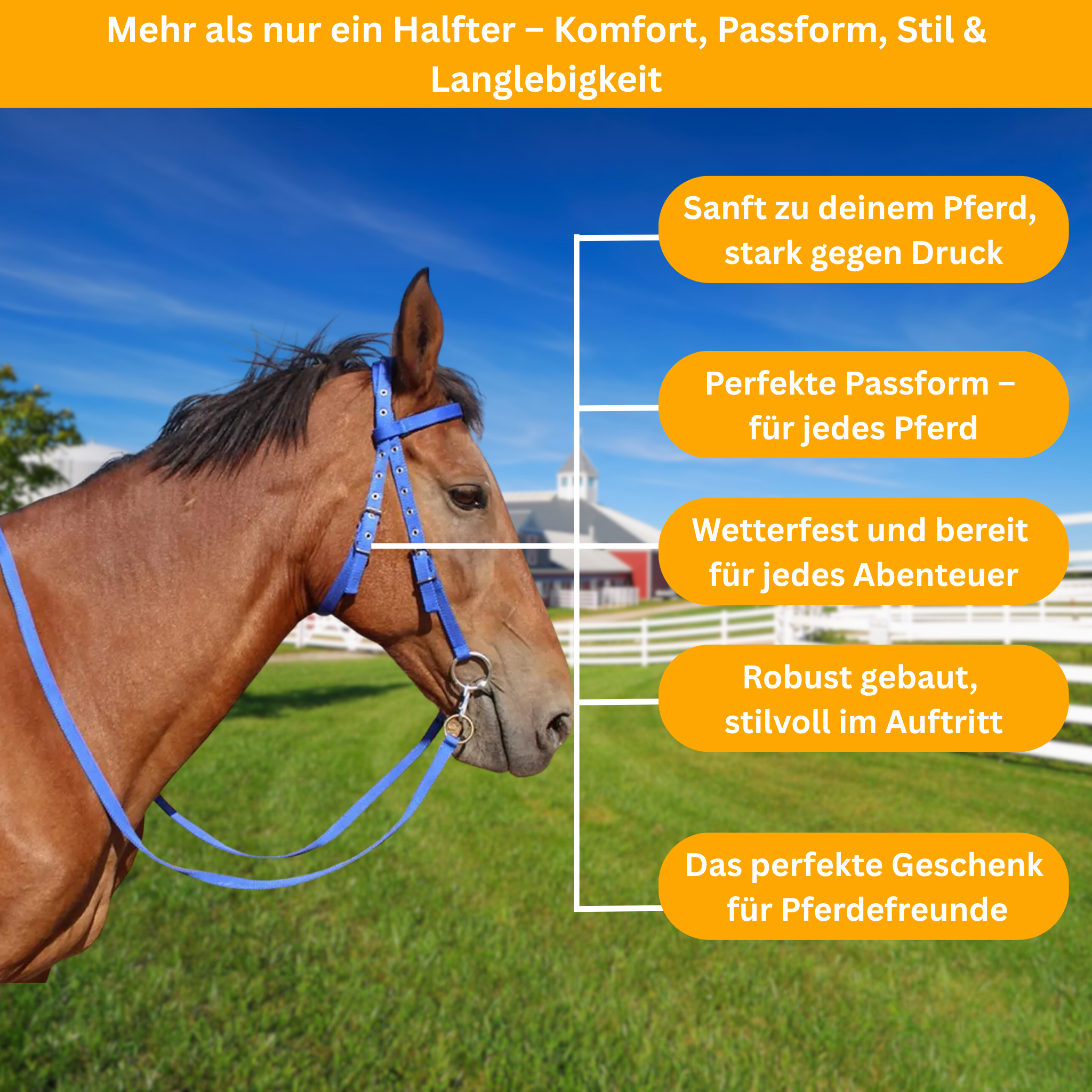 SoftLead - Gepolstertes Komforthalfter für Pferde