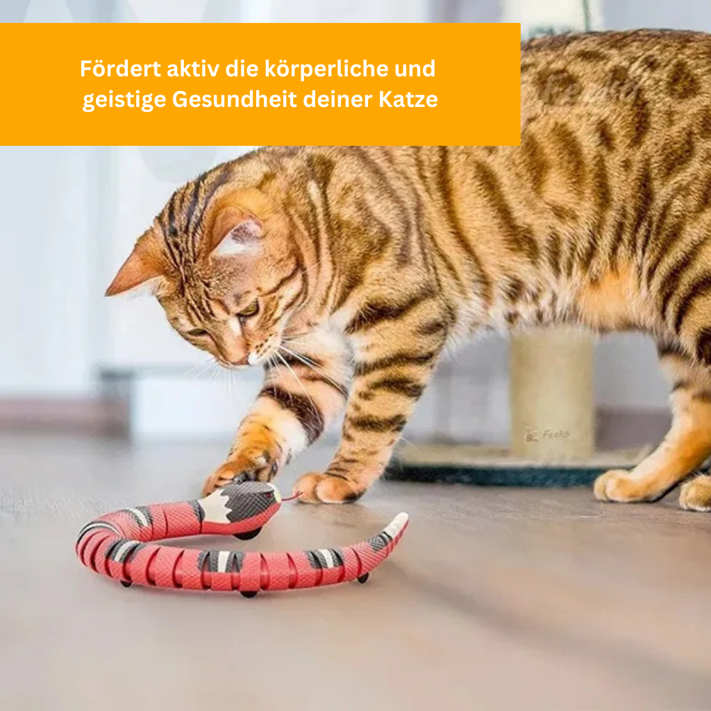 SpielSchlange - Interaktiver Katzenspaß