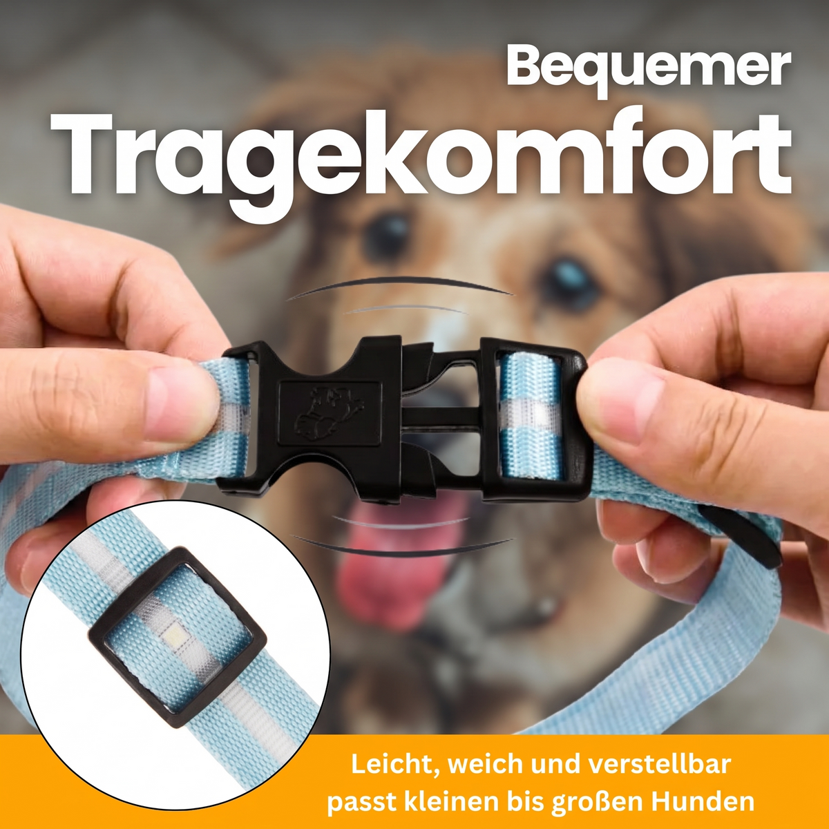 LED-Leuchthalsband Pro