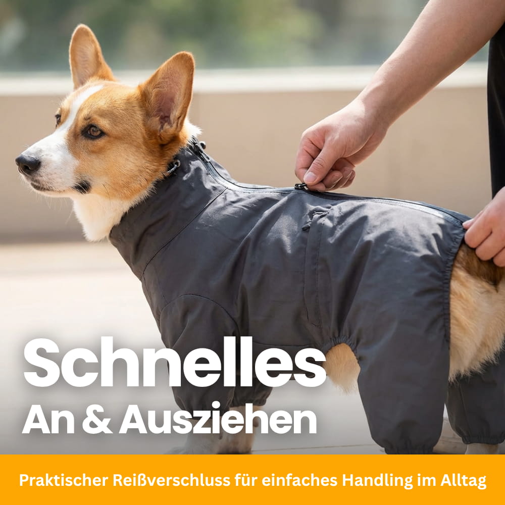 RainPaw - Wasserdichter Regenmantel für Hunde