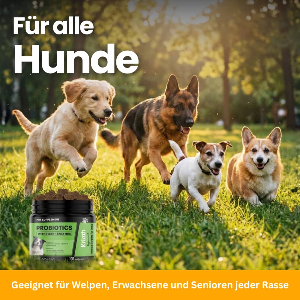 Hunde-Probiotika Soft Chews für Verdauung & Immunsystem