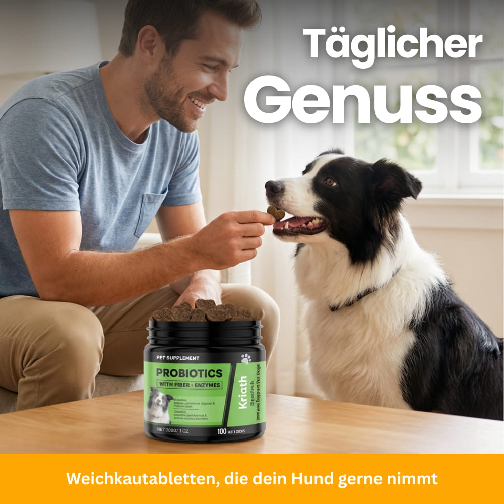 Hunde-Probiotika Soft Chews für Verdauung & Immunsystem