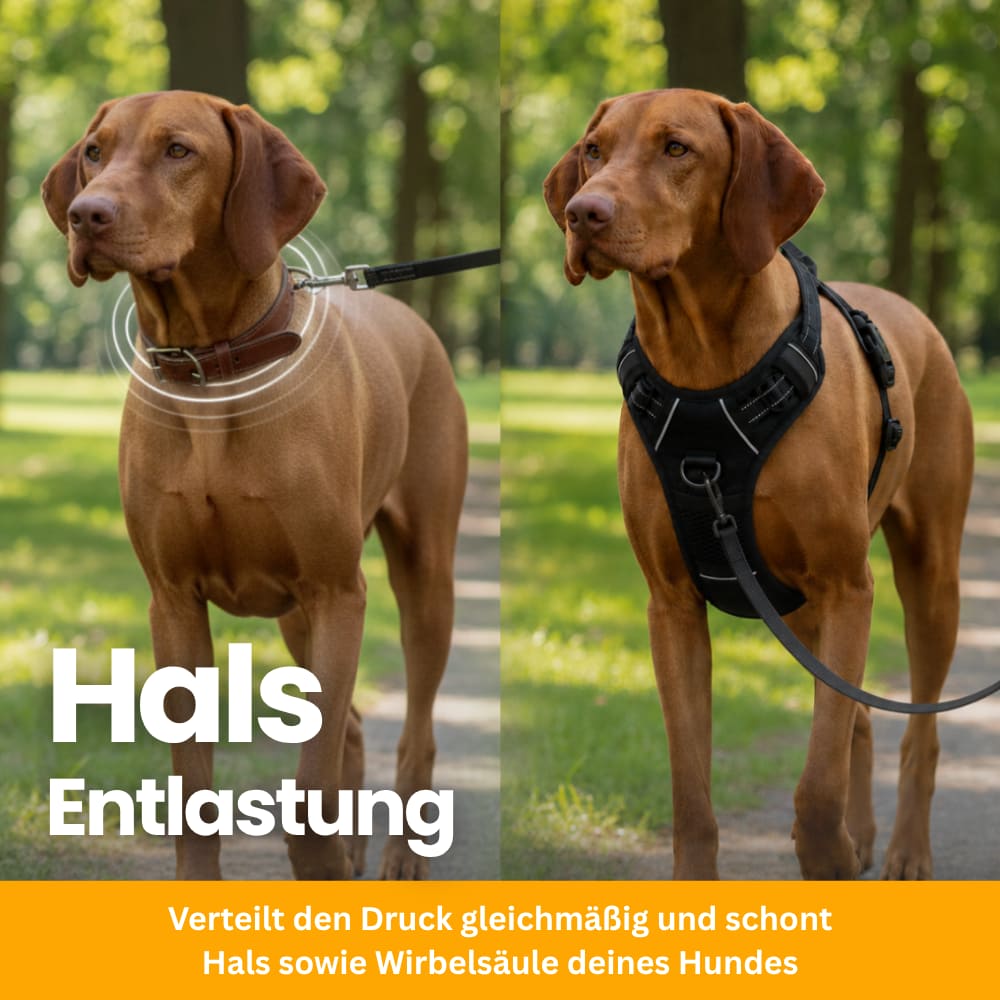 ZugFrei – Gepolstertes Anti-Zug Hundegeschirr
