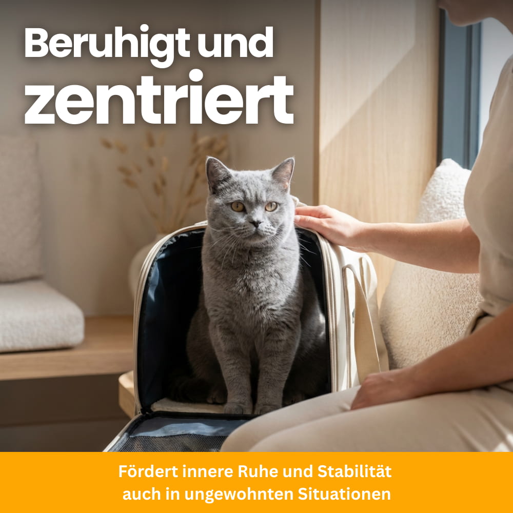 Katzen-Nährstoffpulver für Fell & Haut