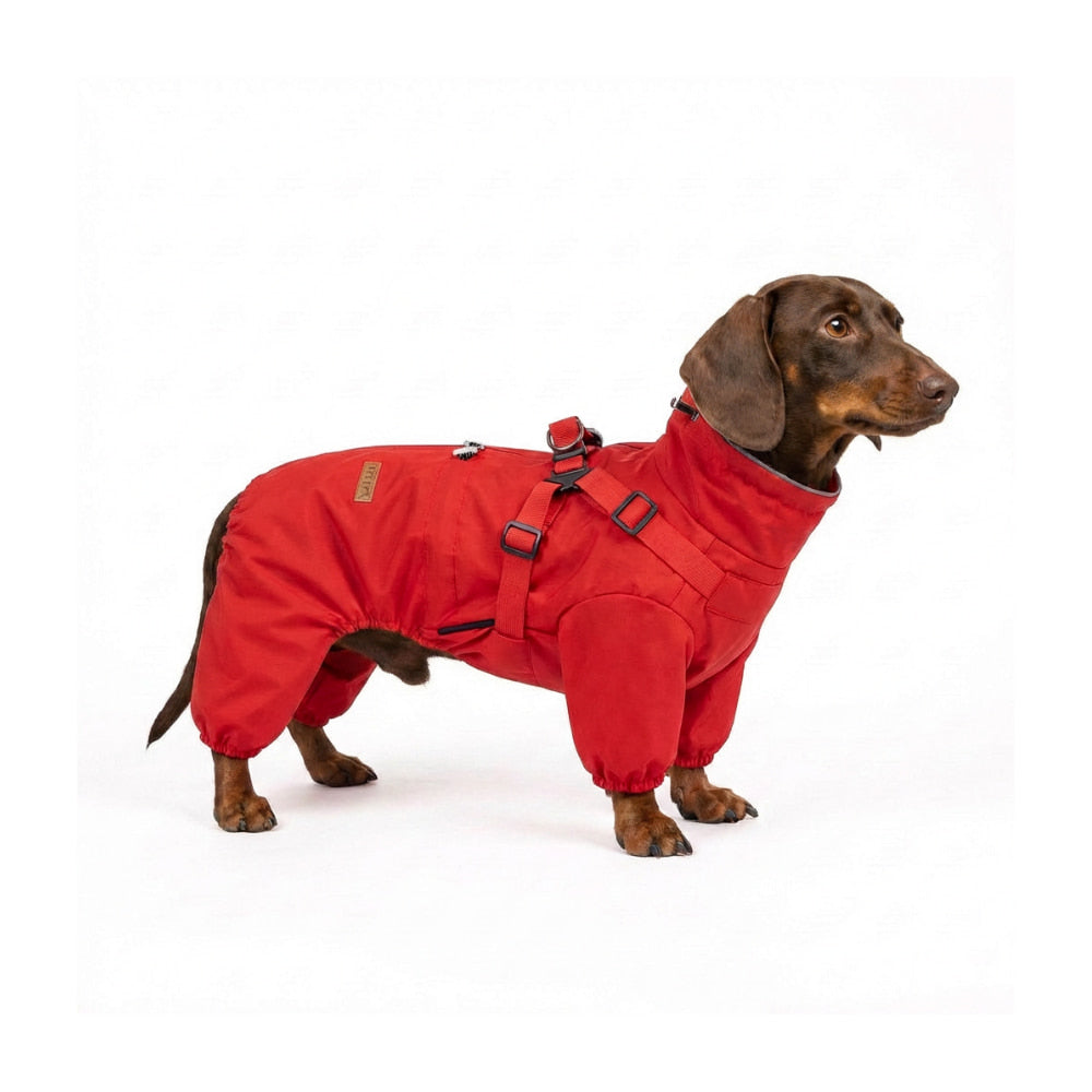 RainPaw - Wasserdichter Regenmantel für Hunde