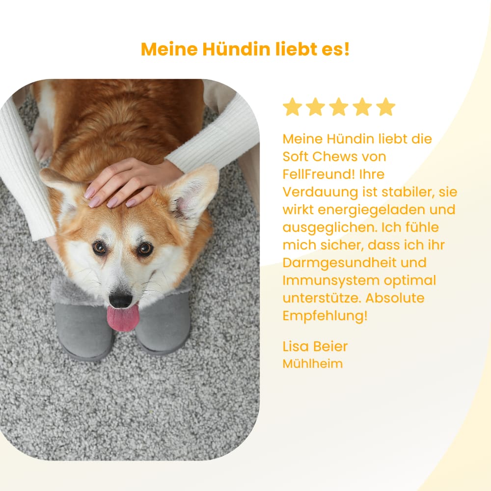 Hunde-Probiotika für Darm & Immunsystem