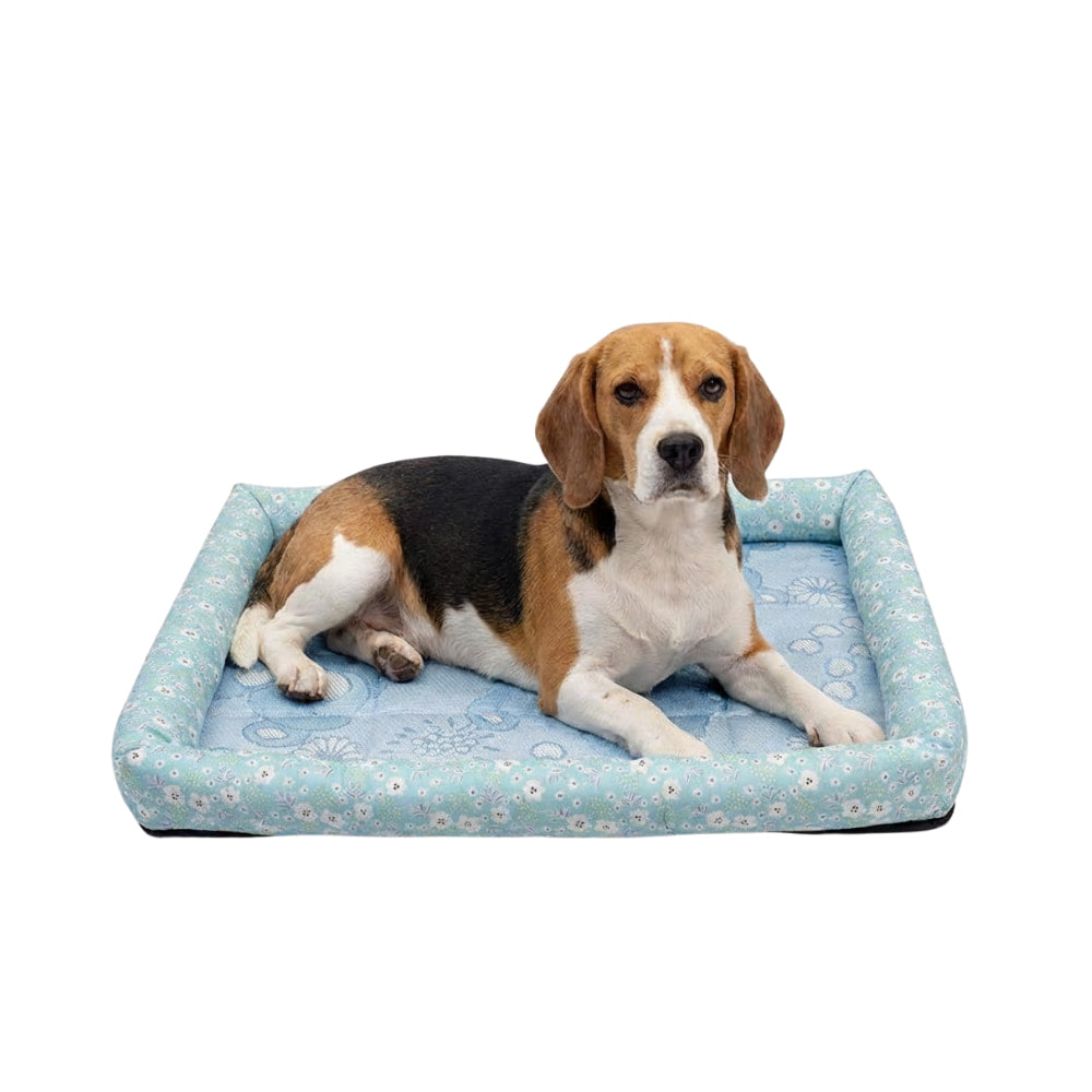 CoolBed – Hundekühlbett