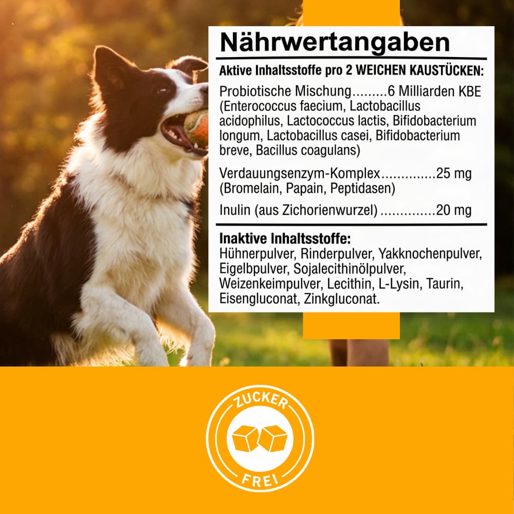 Hunde-Probiotika Soft Chews für Verdauung & Immunsystem