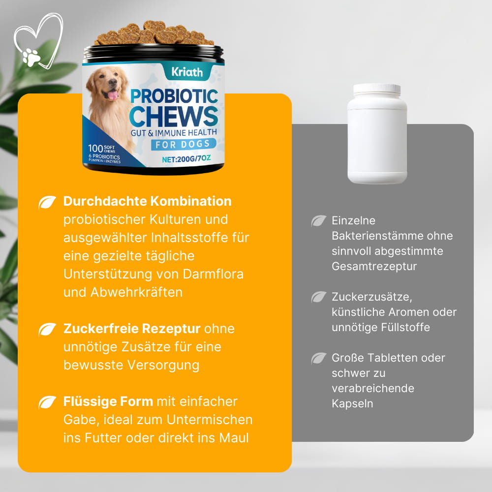 Hunde-Probiotika für Darm & Immunsystem